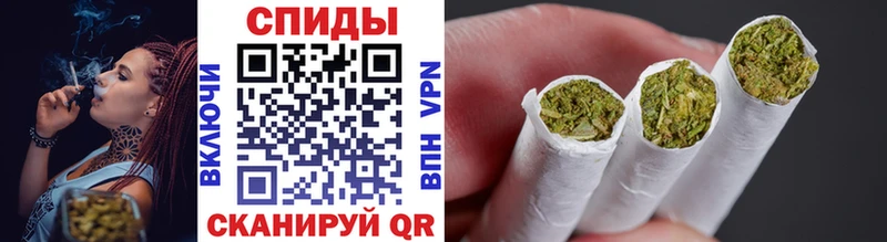 Бутират буратино  Санкт-Петербург 