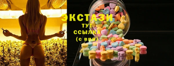 хмурый Пересвет